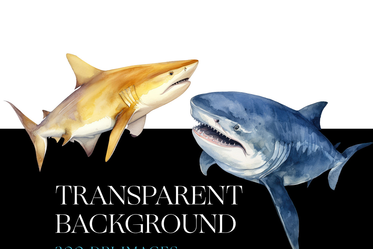 Watercolor Shark Clipart, Shark PNG, an Animal Illustration by BrushstrokeArtGB (Photo 7 of 9)