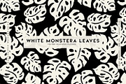 White Monstera Leaves, a Pattern Graphic by MalyskaStudio (Thumbnail 1 of 19)