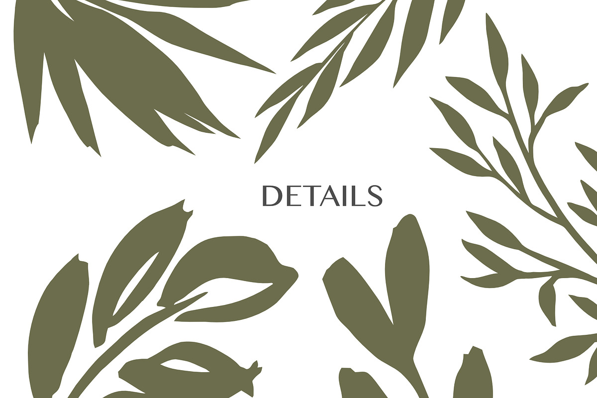 Hand drawn foliage, an Illustration by Wild Rose (Photo 6 of 6)