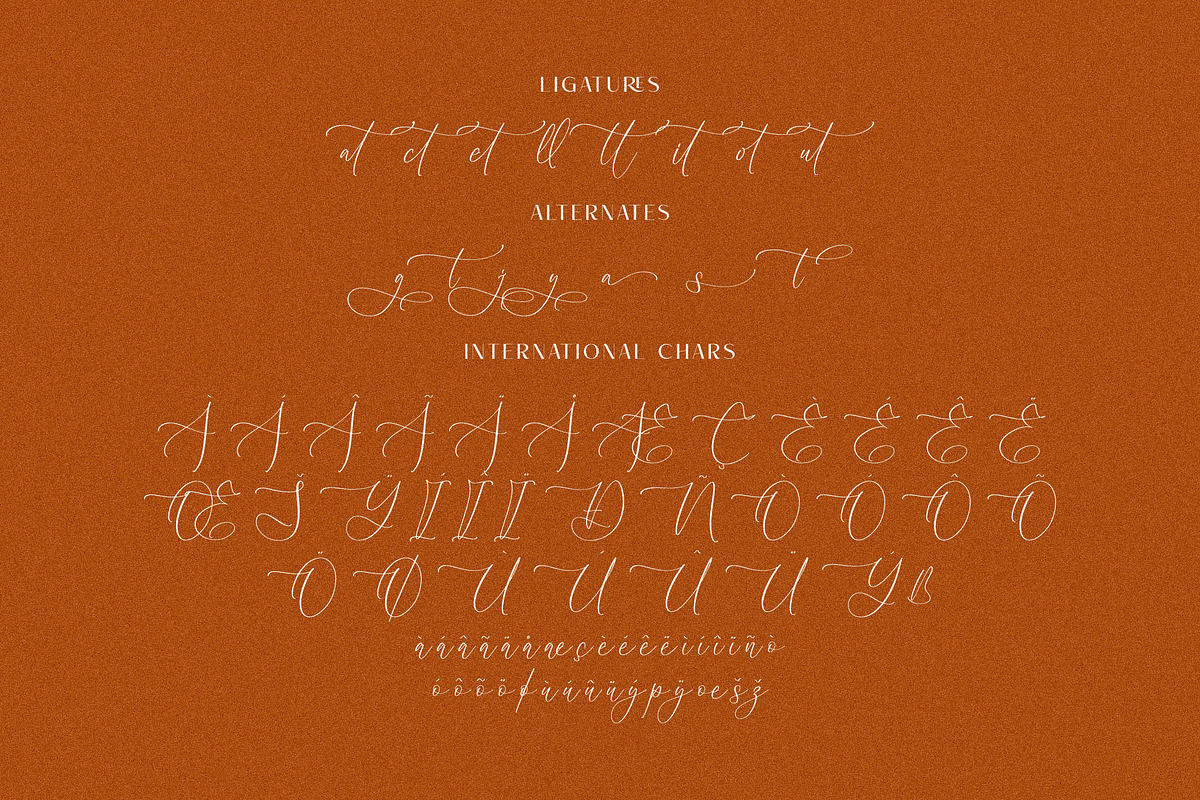 Robima Merttha Font Duo, a Script Font by Storytype Studio (Photo 12 of 15)