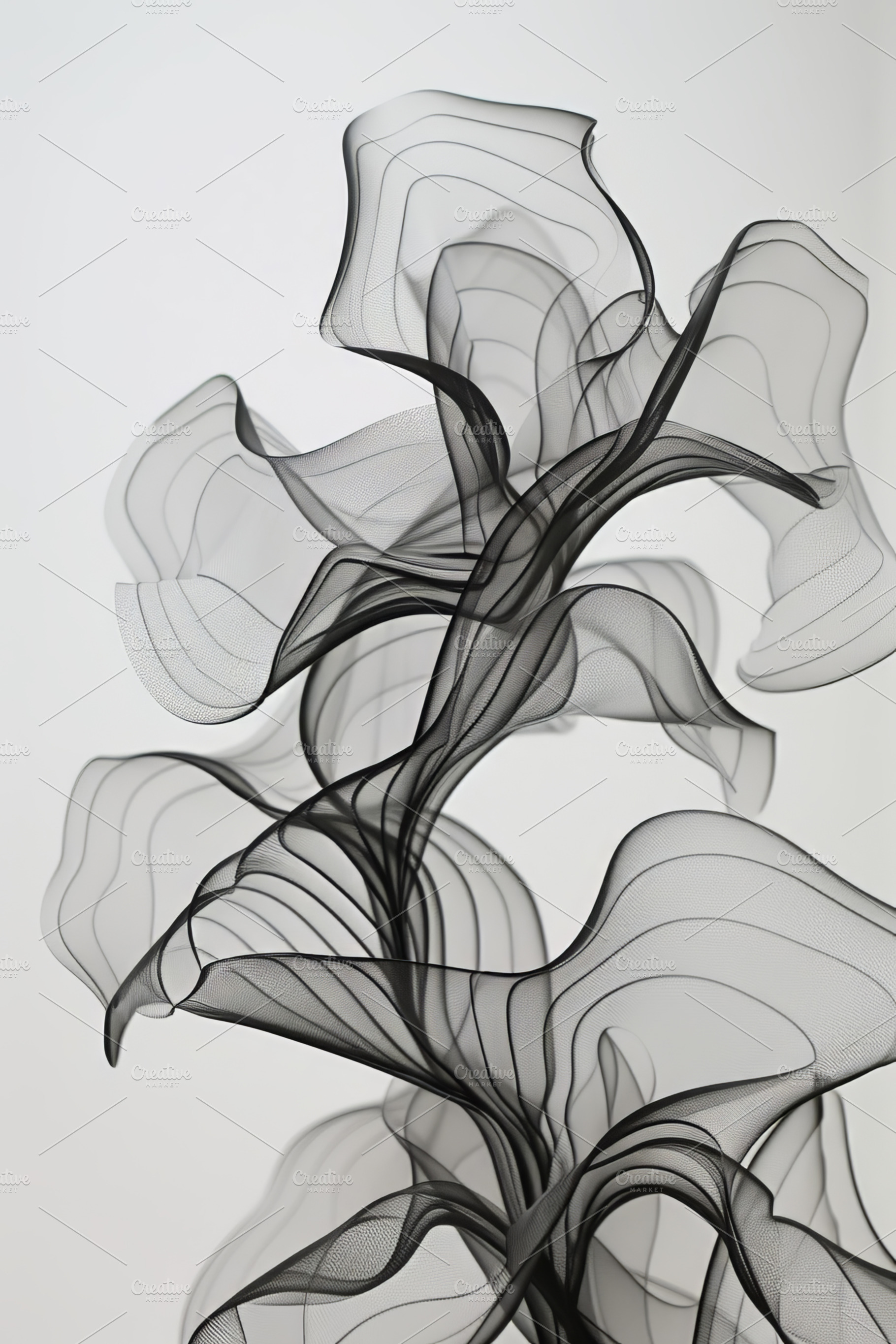 Abstract Monochrome Smoke Swirls on White Background, an Abstract Photo by Natalia Klenova's Shop