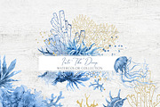 INTO THE DEEP Watercolor Collection, an Illustration by Cat In Colour (Thumbnail 1 of 8)