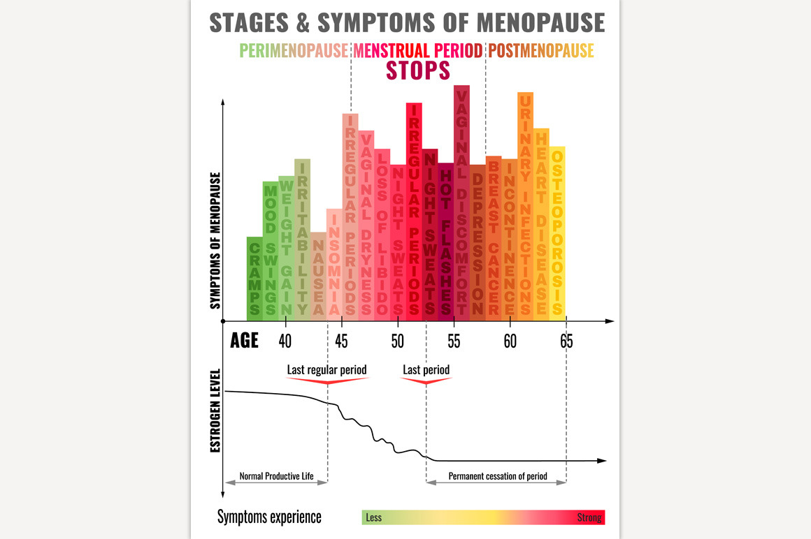 Stages of Menopause Infographic, an Education Illustration by Anna's Shop