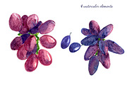 Red grape watercolor clipart, an Illustration by s.yanyeva (Thumbnail 3 of 7)