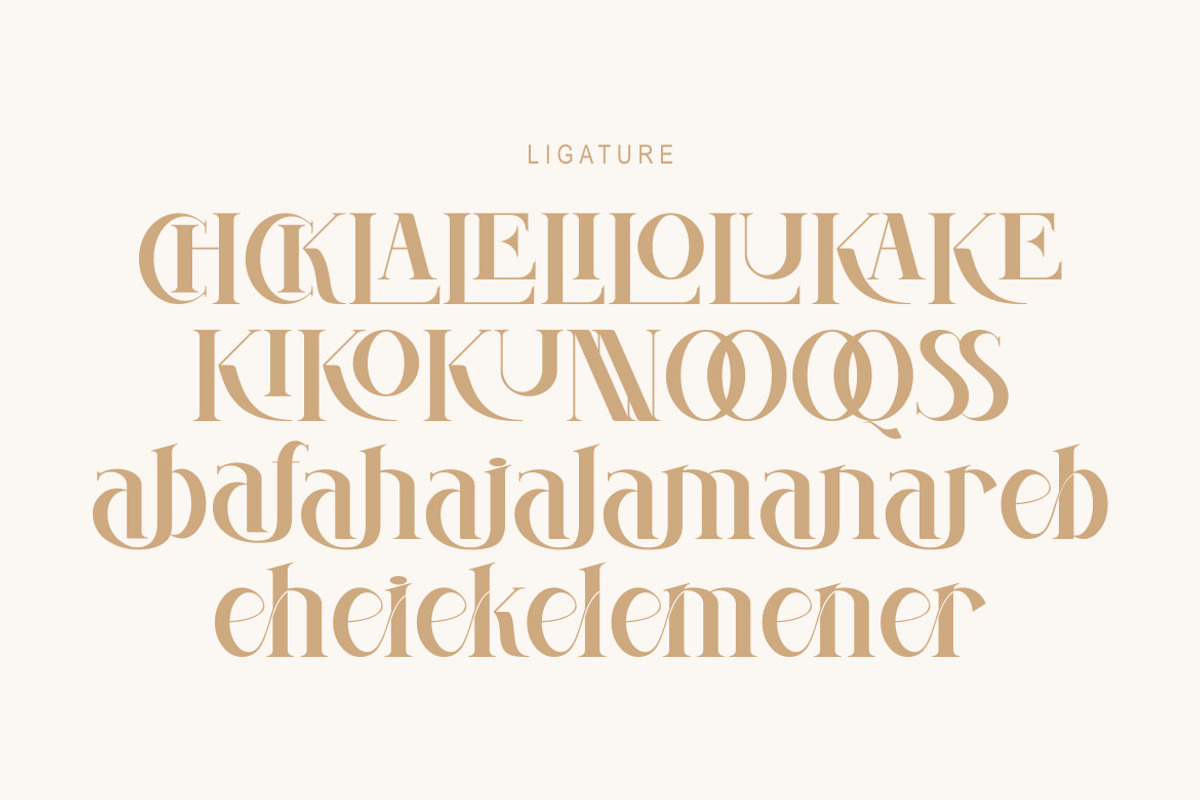 Evaida, a Serif Font by Kenrichi (Photo 11 of 11)