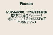 Pinehills – An Classical Script Font, a Script Font by Fikryal Studio (Thumbnail 19 of 20)