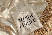 Regality Display, a Serif Font by Digitype Studio (Thumbnail 4 of 11)