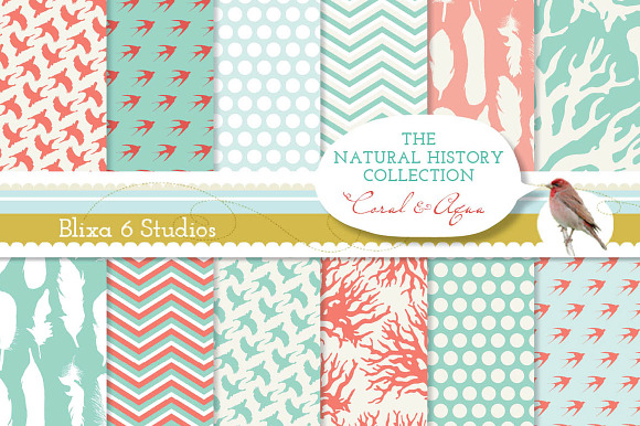 Natural History Coral 12" Pages