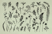 Vintage Herbs & Flowers mega set, an Object Illustration by Garden in frame (Thumbnail 2 of 8)