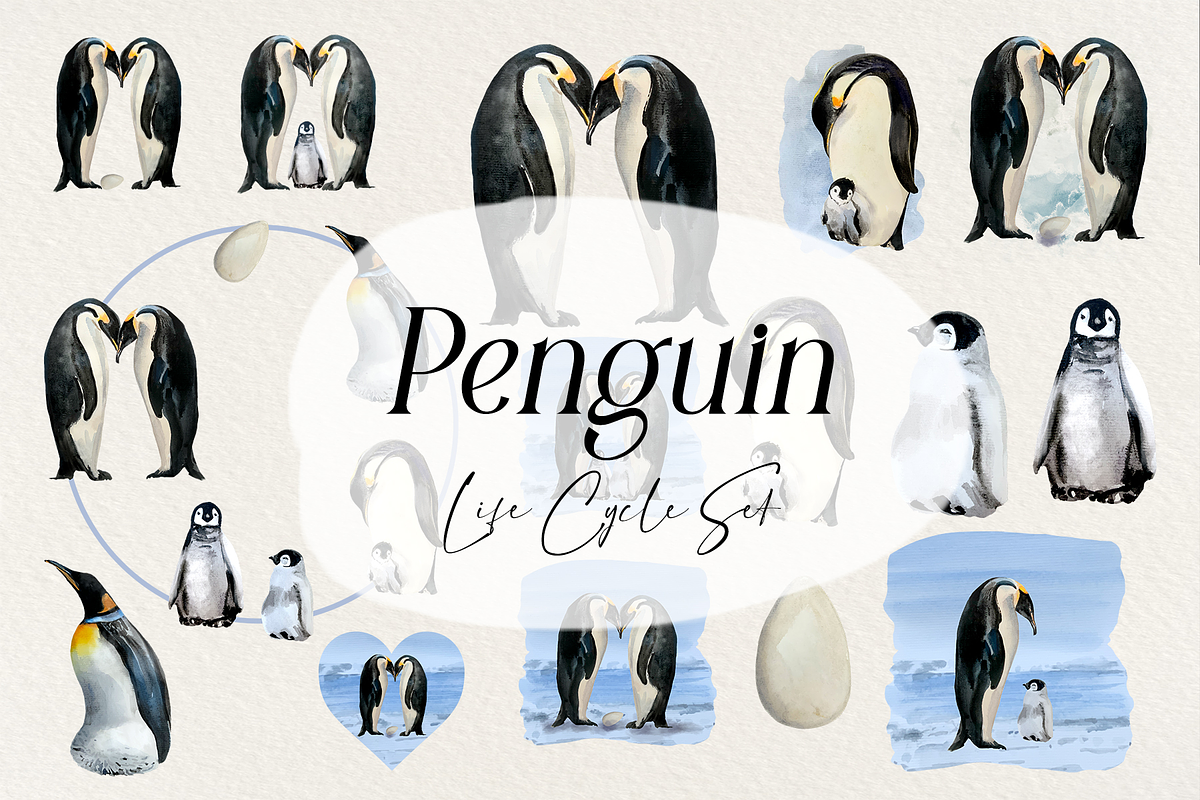 Watercolor Penguin Life Cycle Set, an Education Illustration by Tati Bordiu (Photo 1 of 5)