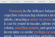 CS Loman – Uncial Font, a Serif Font by Craft Supply Co. (Thumbnail 5 of 8)