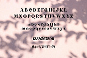 Kandess | Stylish Serif Font Trio, a Serif Font by Artdez (Thumbnail 5 of 5)