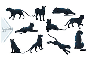 Set of Black panther wild big cat