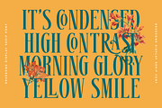 Gruesome - Display Serif Font, a Serif Font by Letterhend Studio (Thumbnail 2 of 11)