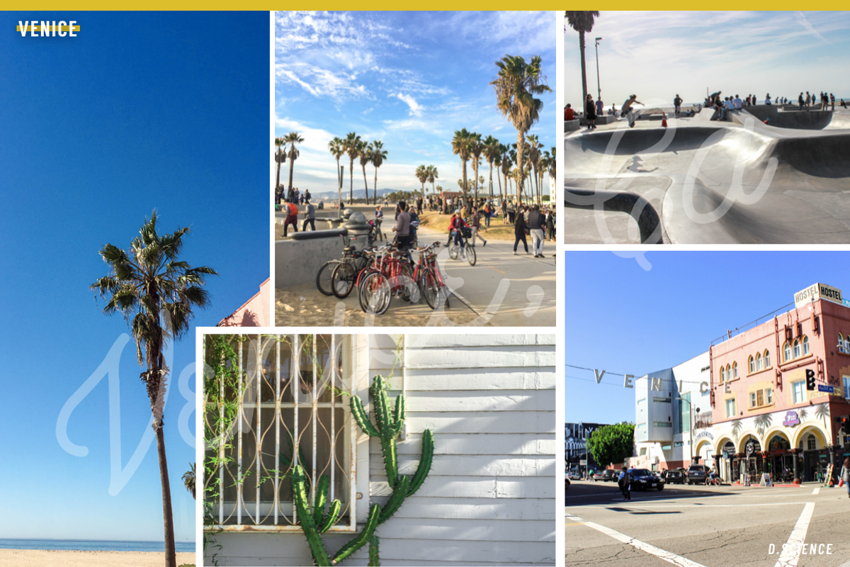 94% Off Venice Summer Photo Bundle, a Business Photo by Template Monkey @dscience (Photo 15 of 18)