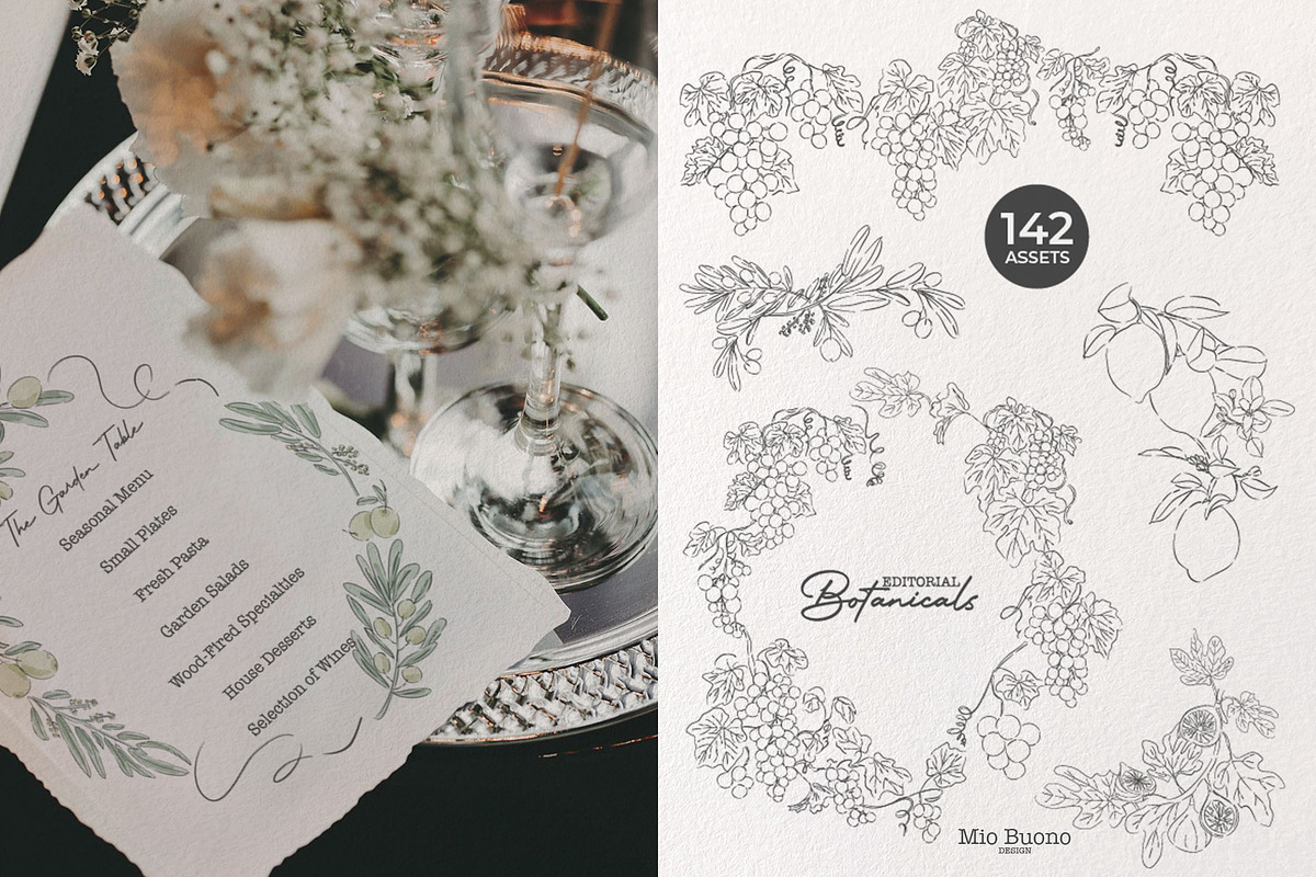 Editorial Botanical Line Art, an Object Illustration by Mio Buono (Photo 7 of 16)