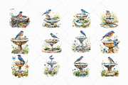 Birds on Water Fountain Clipart Set, an Animal Illustration by The Twin Lakes Studio (Thumbnail 6 of 9)