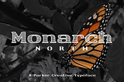 Monarch North Line Hatch Font, a Slab Serif Font by Parker Creative (Thumbnail 1 of 8)