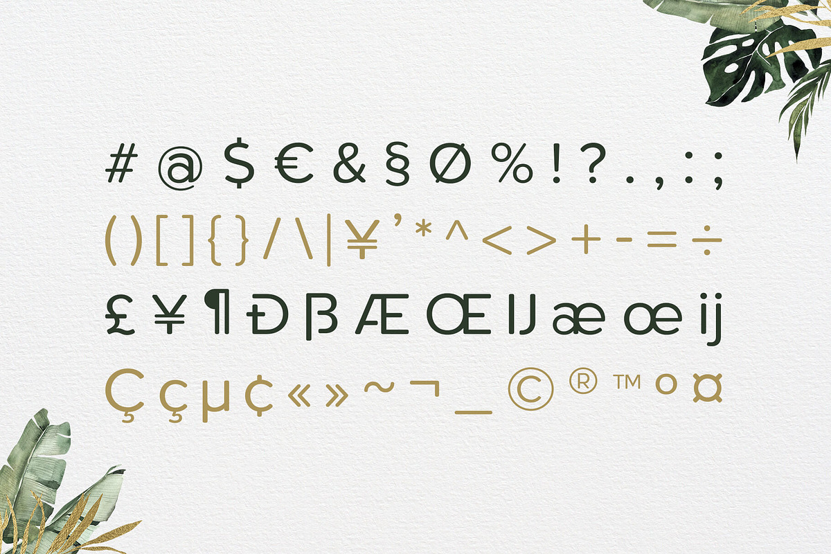 Roundor Font Family - Sans Serif, a Sans Serif Font by RC graphics (Photo 3 of 9)