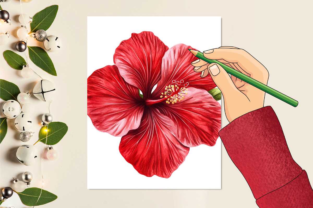 Hibiscus Flower Bloom Clipart, an Illustration by Rose Art (Photo 5 of 6)