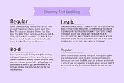 Brimful Font, a Serif Font by Photoshop Action (Thumbnail 4 of 5)