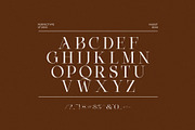 Vagist Modern Serif Font, a Serif Font by Perfectype (Thumbnail 8 of 8)