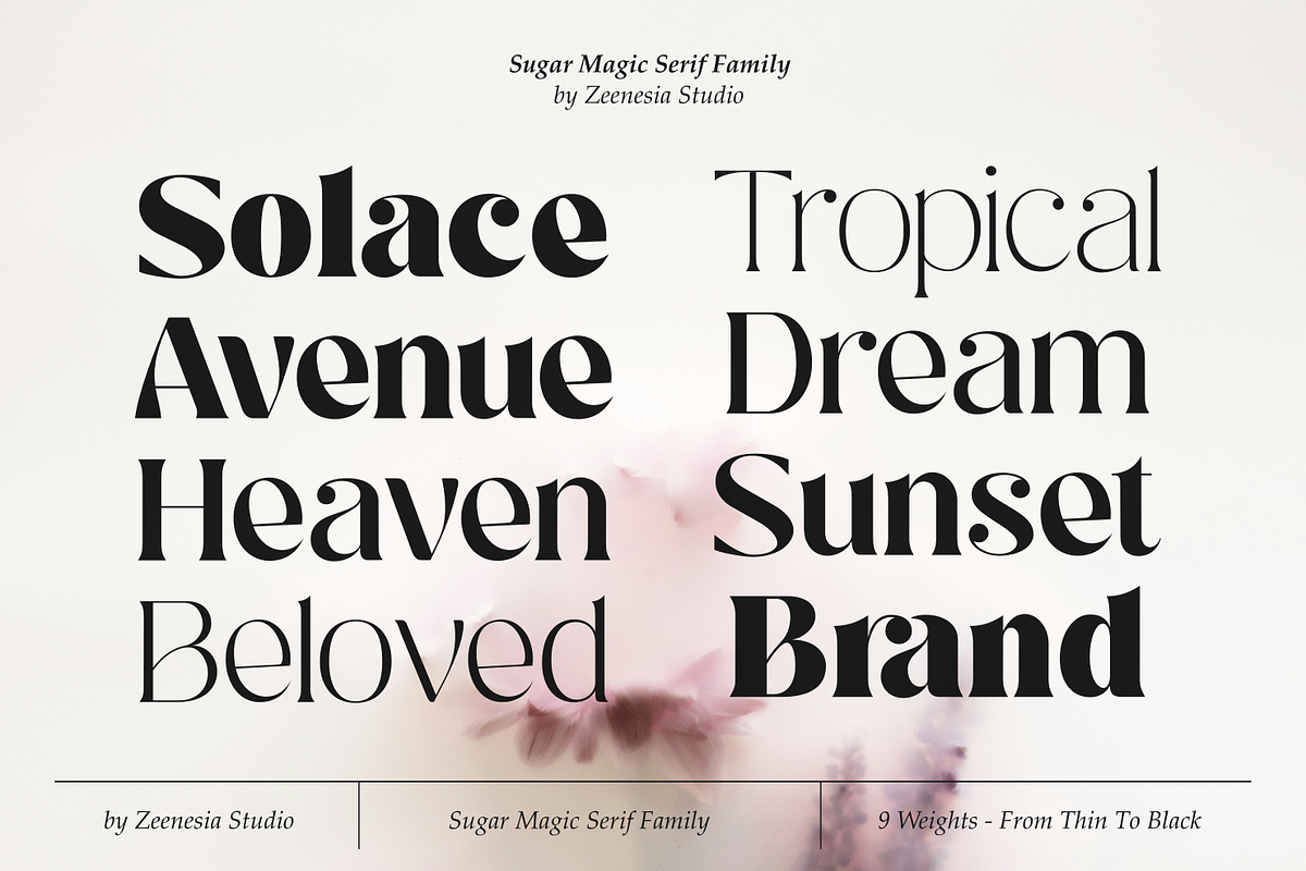 Sugar Magic Serif - 9 Font Family, a Serif Font by zeenesia (Photo 6 of 26)