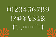 Vangoca - Display Serif Font, a Serif Font by RockboyStd (Thumbnail 10 of 12)