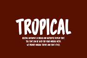 Holifall Autumn - Tropic Font, a Sans Serif Font by Iqsiart Studio (Thumbnail 2 of 6)