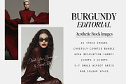Burgundy Editorial Stock Images, a Beauty & Fashion Photo by Studio Loire (Thumbnail 2 of 11)