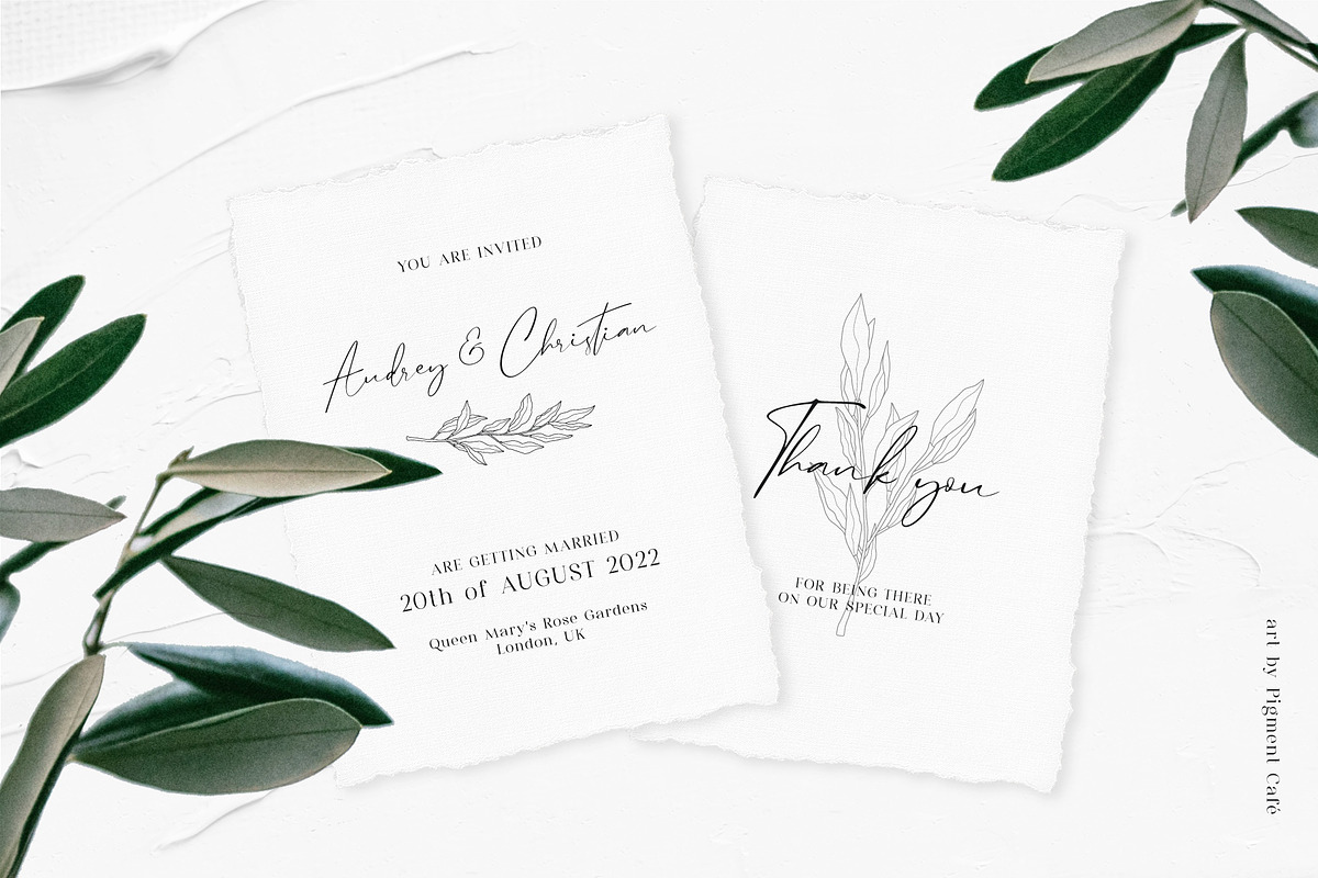 Olive Branches & Botanical Patterns, a Decorative Illustration by Pigment Café (Photo 6 of 10)