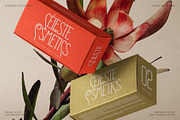 Reina Sofia - Vintage Display Serif, a Serif Font by SilverStag Type Foundry (Thumbnail 6 of 30)
