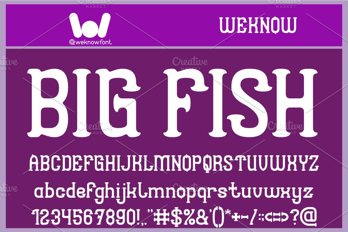 Seashore font, a Serif Font by weknow (Photo 3 of 5)