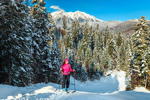 Ski touring in the forest, a Sports & Recreation Photo by Alpine Dreams