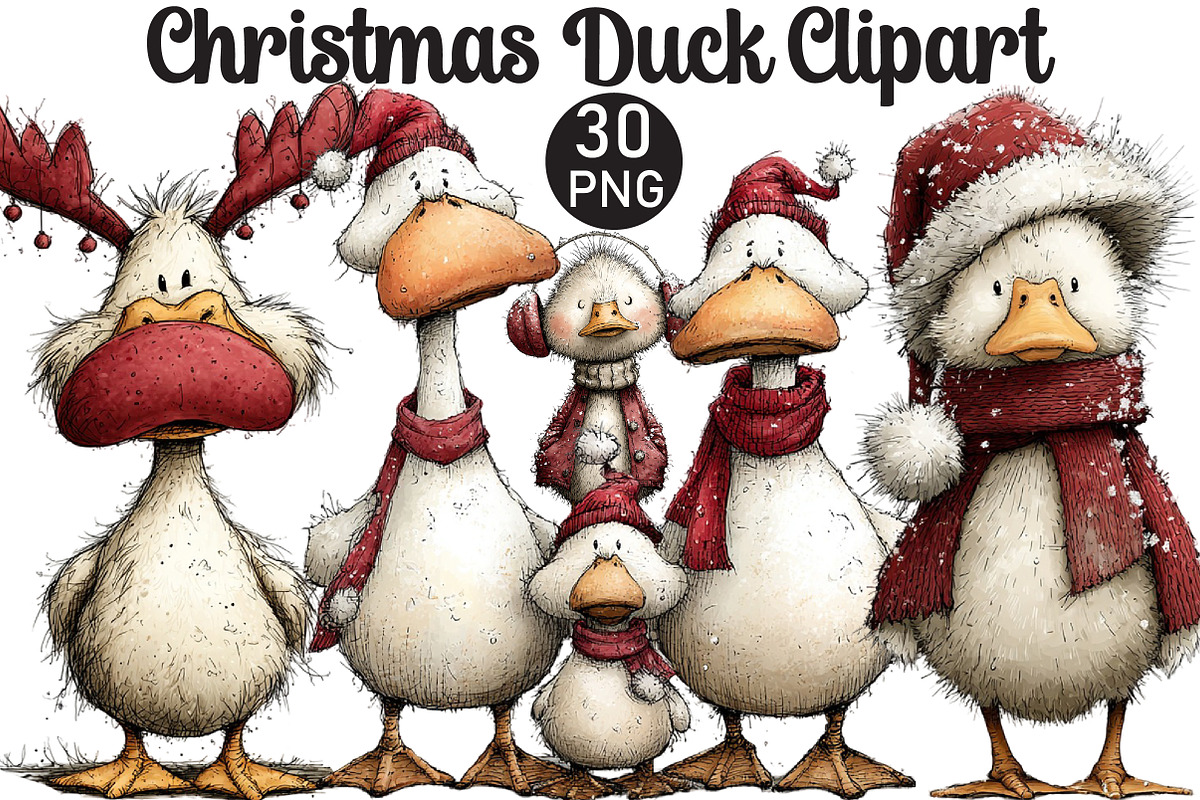 Christmas Duck Clipart, an Illustration by Black Bird Studio (Photo 1 of 6)