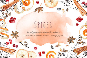 Spices watercolor set