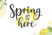 Hailey Trio Font, a Script Font by Natural Ink Studio (Thumbnail 7 of 8)