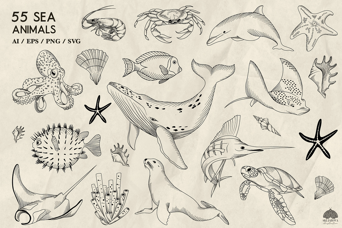 Sea animals line art + Procreate, an Illustration by Skliarova (Photo 4 of 4)