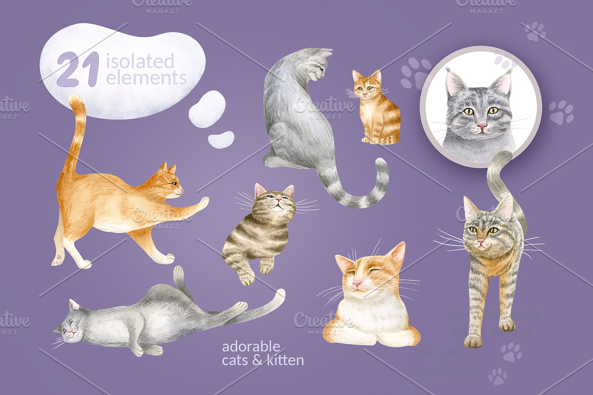 Cats Funny Toys Watercolor Clip art, an Animal Illustration by Elena Malgina Clipart (Photo 2 of 19)