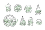63 Succulents illustration set, a Decorative Illustration by Artha Design Studio (Thumbnail 2 of 4)