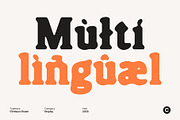 CS Naura Drawn, a Serif Font by Craft Supply Co. (Thumbnail 5 of 8)