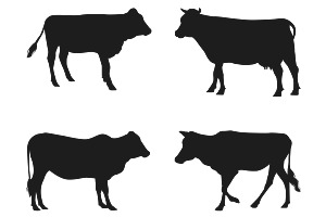 Cow Silhouette Set 1 Procreate Brush