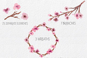 Cherry Blossoms- Watercolor clipart, an Illustration by MaraquelaStudio (Thumbnail 2 of 7)