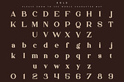 Bungalow Typeface - 9 fonts, a Serif Font by VP Fonts (Thumbnail 11 of 19)