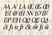 Orvella Font, a Serif Font by Marvadesign (Thumbnail 11 of 12)