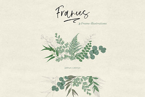 Ferns & Foliage Illustrations