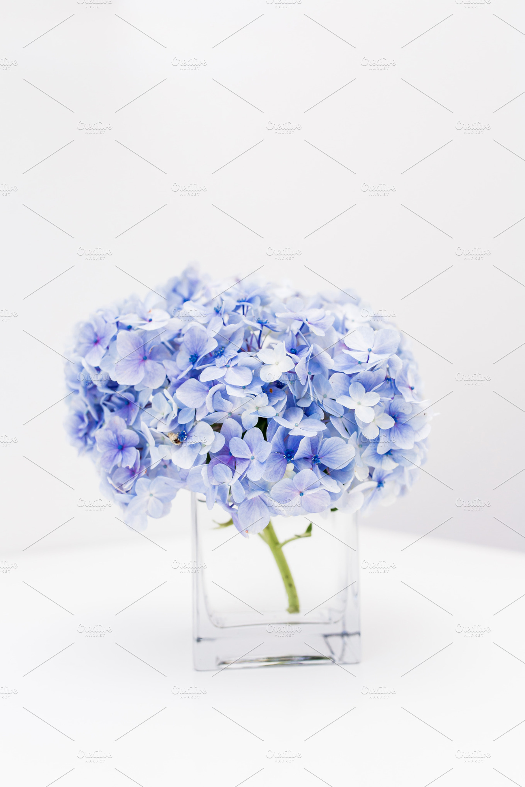 Hydrangeas in vase on desk containing flowers, blooms, and hydrangeas, a Nature Photo by The Snap Shop