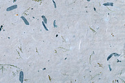 7 Mulberry Paper Textures, a Texture Graphic by Mokr (Thumbnail 3 of 8)