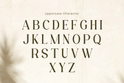 Velenor - Elegant Retro Serif Font, a Serif Font by Flawless And Co (Thumbnail 6 of 10)