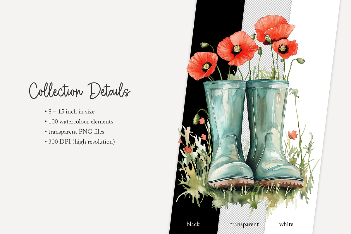 100 watercolour poppy clip art, a Seasonal Illustration by Poppy Lane Studio (Photo 12 of 12)